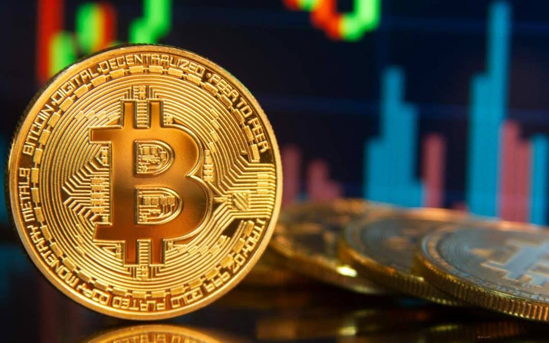 Scam milionario sui bitcoin: nei guai un grinder high stakes