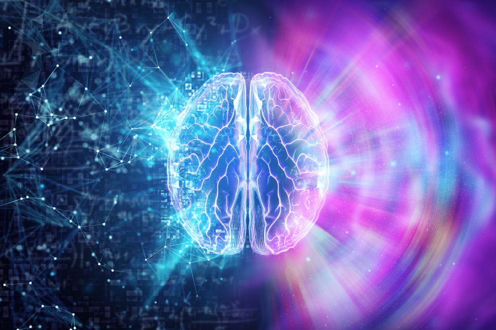 the-human-brain-on-a-blue-background-the-hemisphere-is-responsible-for-logic Come domare la paura di fallire - Adam Carmichael